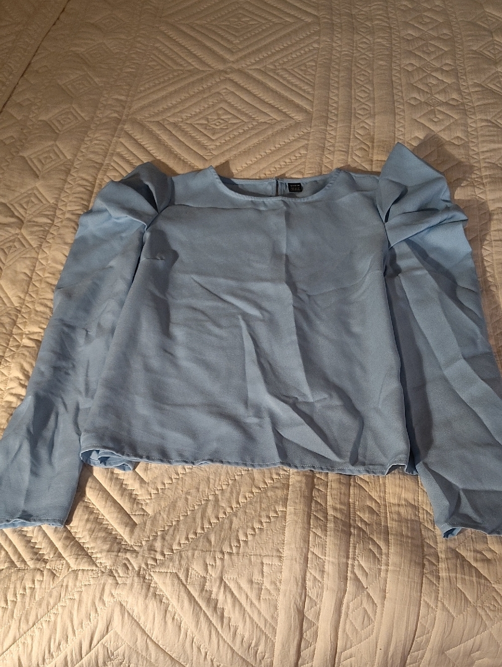 SHEIN Powder Blue Puff-Sleeve Long Sleeve Blouse